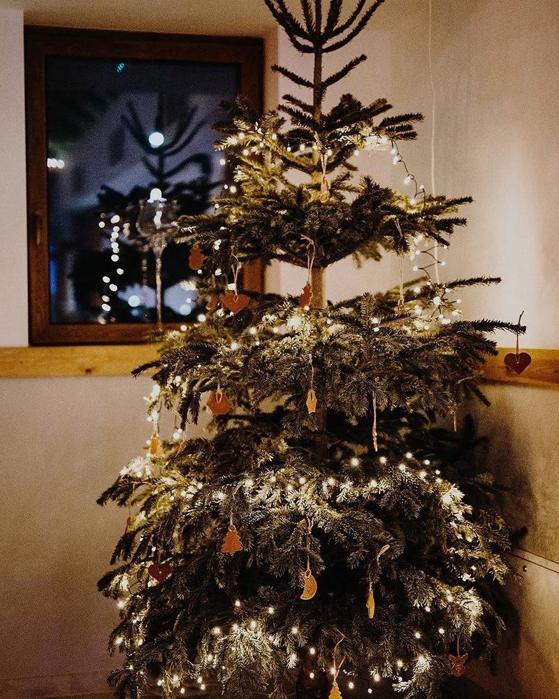 A Christmas tree with fairy lights and gingerbread ornaments in a hall at Stara Szwajcaria
